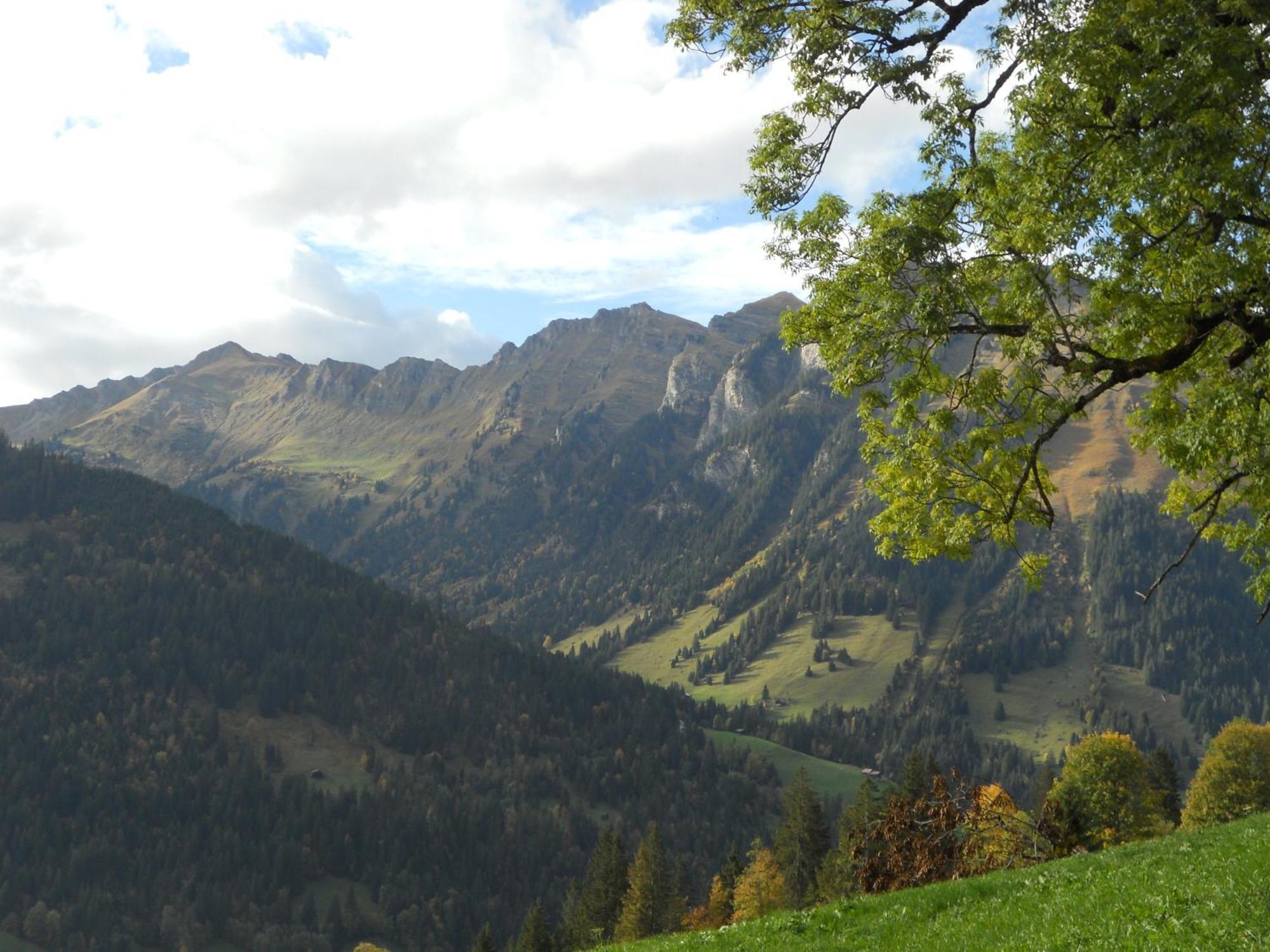 Bauernhaus Gschwend Gsteig Exteriör bild